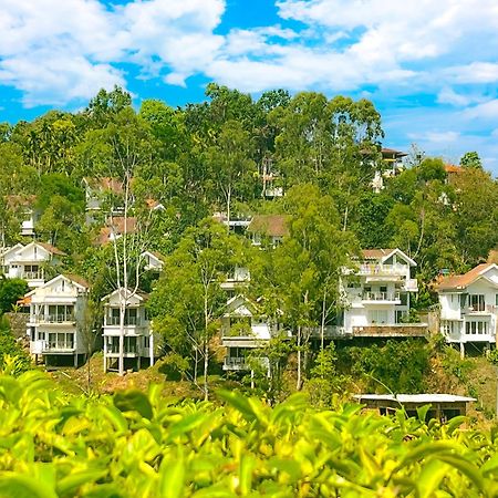 Dazzle Villa Resort Калпетта Экстерьер фото